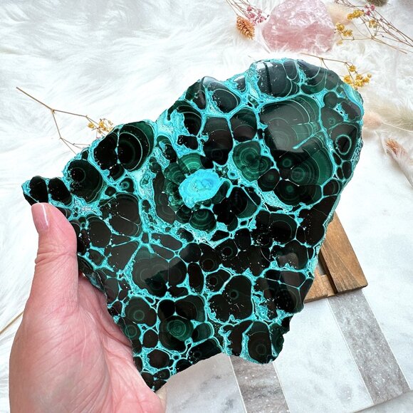 Stunning Malachite with Chrysocolla Half-Polished Slab/Specimen - Picture 5 of 6